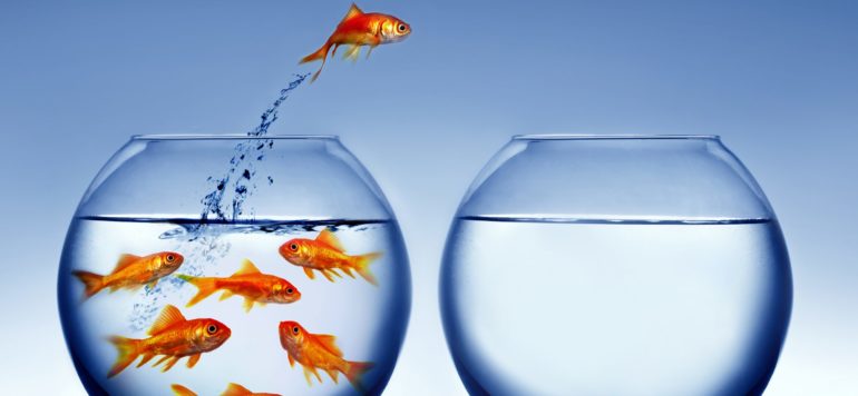 Cultural Fit Beats Management Skills