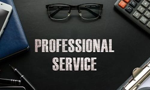 proffessional-service proffessional-service