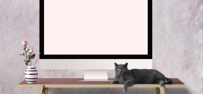 Die Büromöbelbranche in Zeiten von Homeoffice